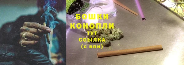 ешки Бородино