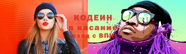 ешки Бородино