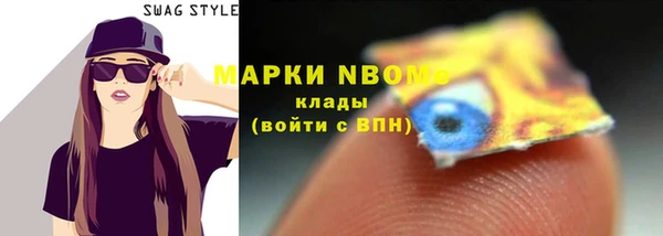 ешки Бородино