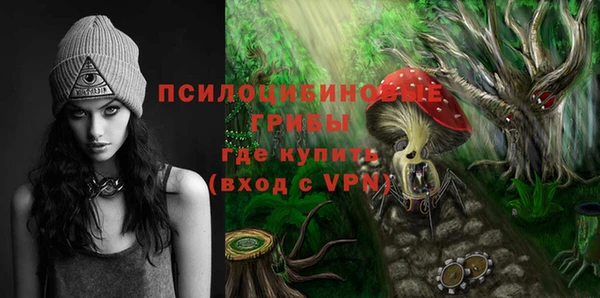 ешки Бронницы