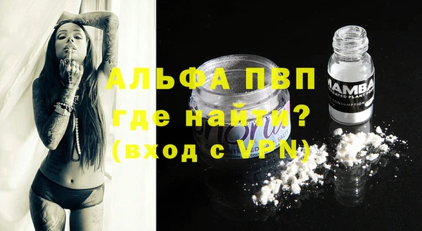ешки Бородино