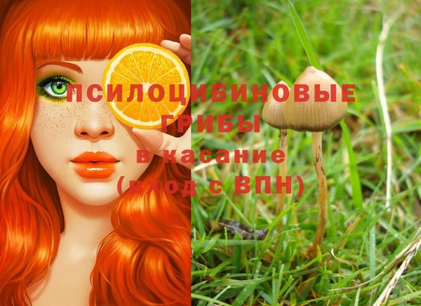 ешки Бугульма