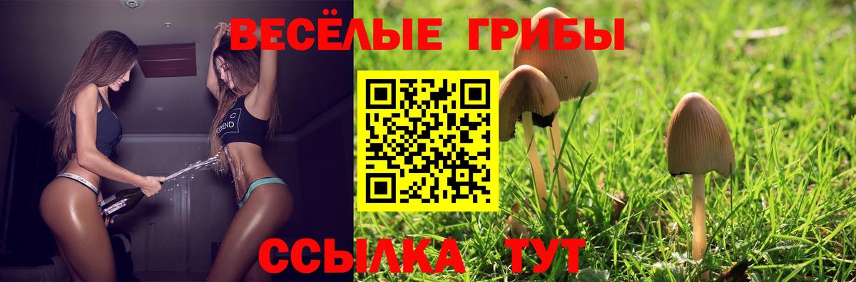 Галлюциногенные грибы прущие грибы  Галлюциногенные грибы Cubensis  Одинцово  Вход с VPN 